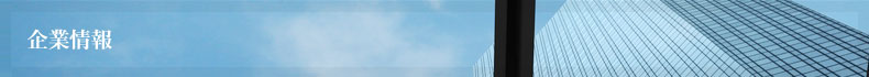 企業情報