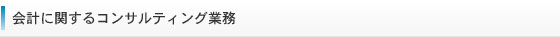 会計に関するコンサルティング